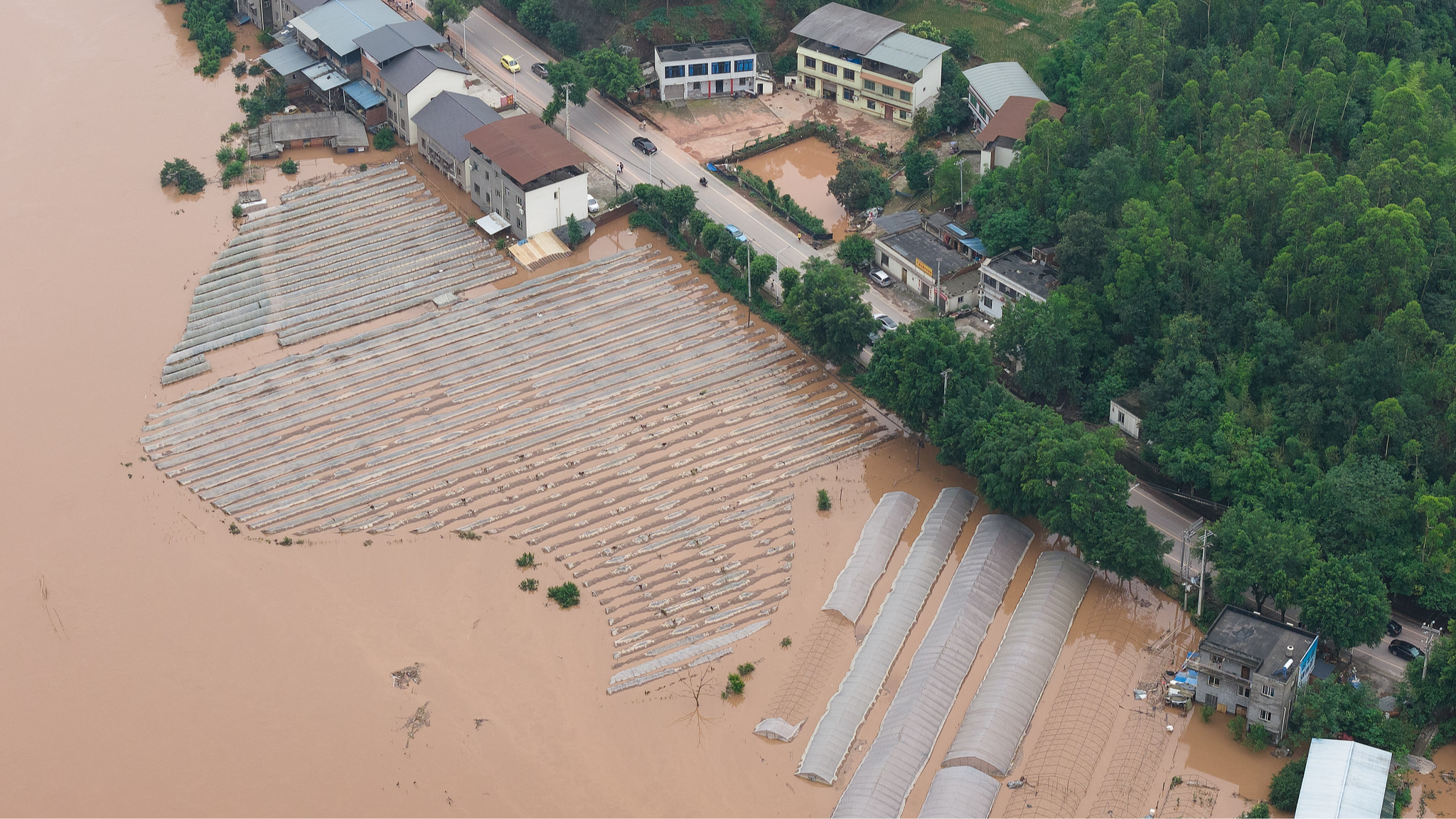 Rescue efforts ongoing after heavy rain lashes SW China's Chongqing