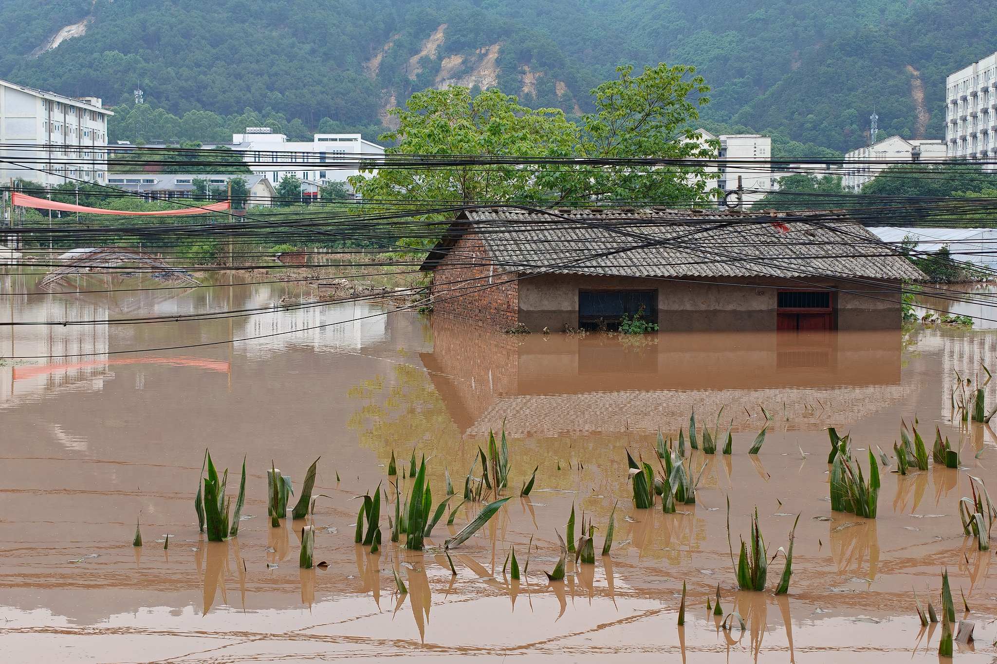 Houses and crop fields are flooded in southwest China's Chongqing Municipality, May 24, 2026. /VCG