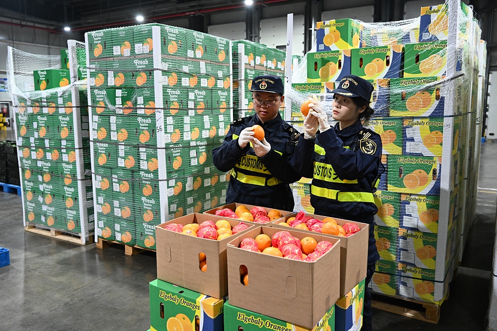 The first batch of fresh Egyptian oranges benefiting from zero-tariff treatment has been cleared through customs at Shanghai's Waigaoqiao port area, May 1, 2026. /VCG