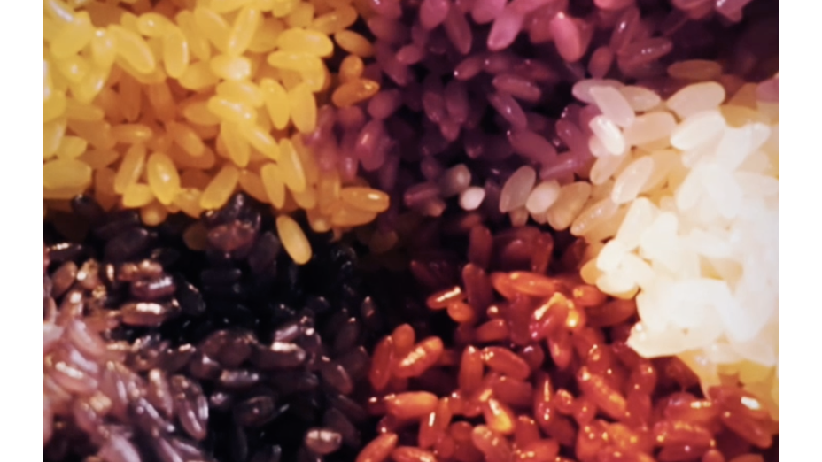 Colorful rice in Nanning