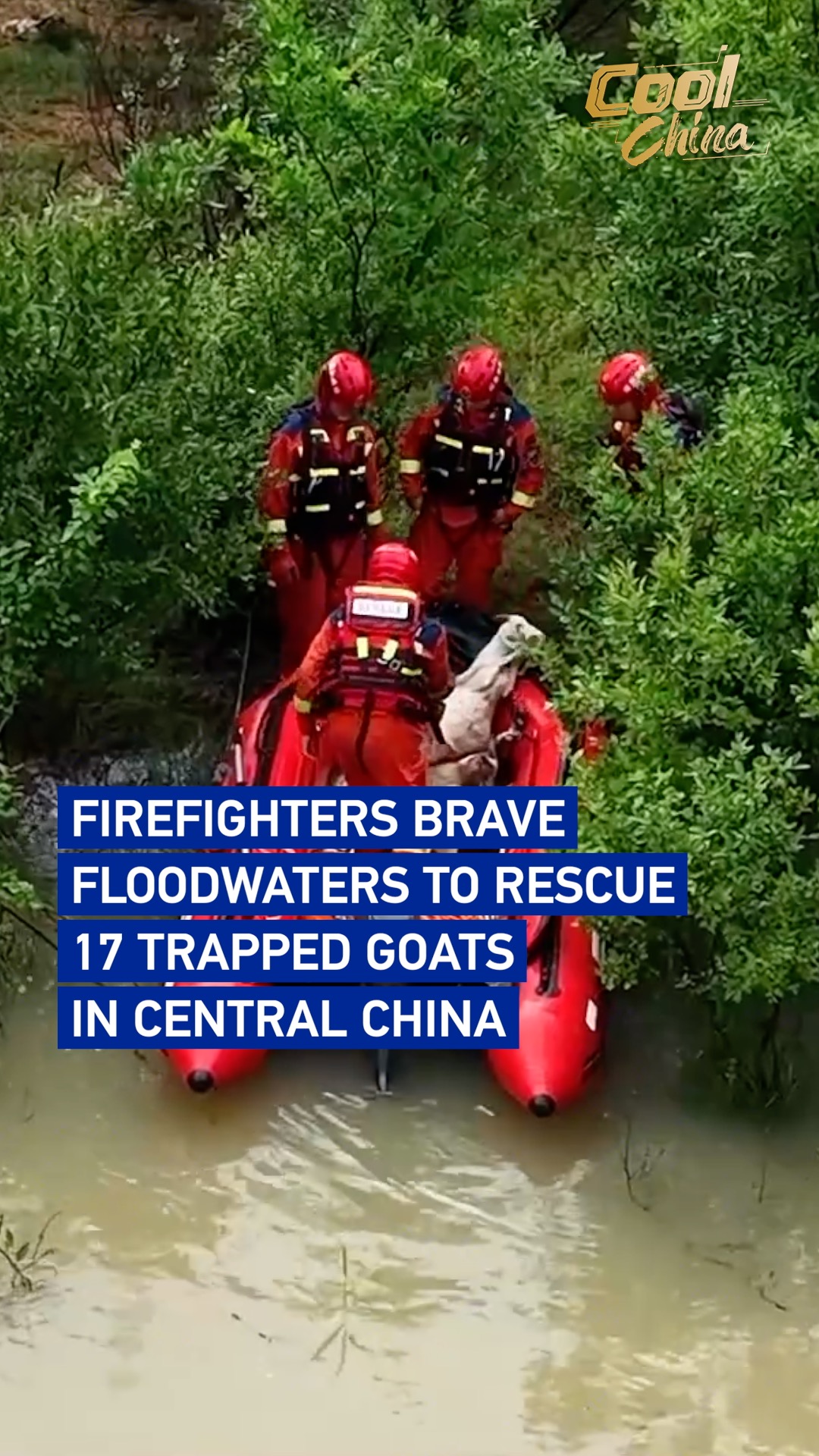 Firefighters brave floodwaters to rescue 17 trapped goats in China