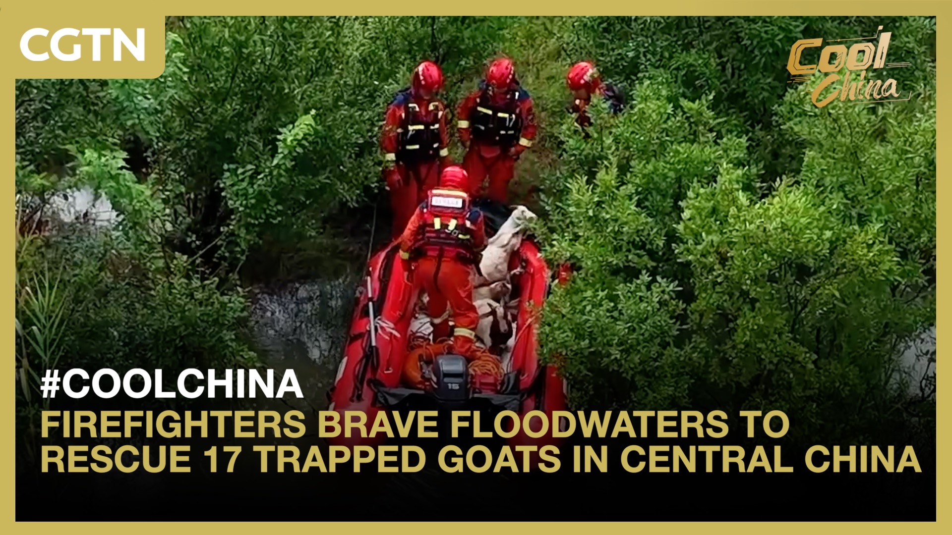 Firefighters brave floodwaters to rescue 17 trapped goats in China