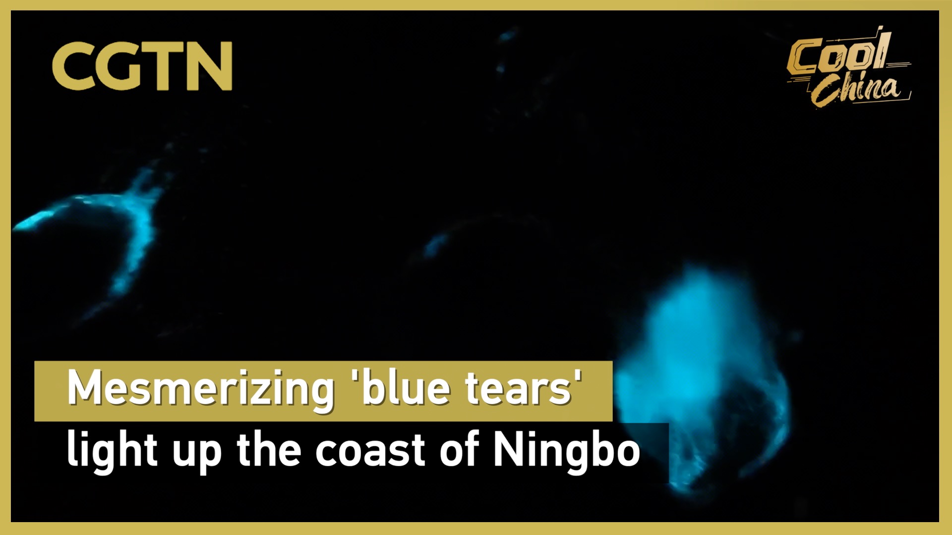 Mesmerizing 'blue tears' light up the coast of Ningbo