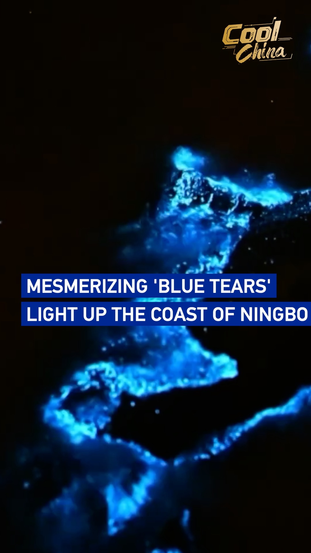 Mesmerizing 'blue tears' light up the coast of Ningbo