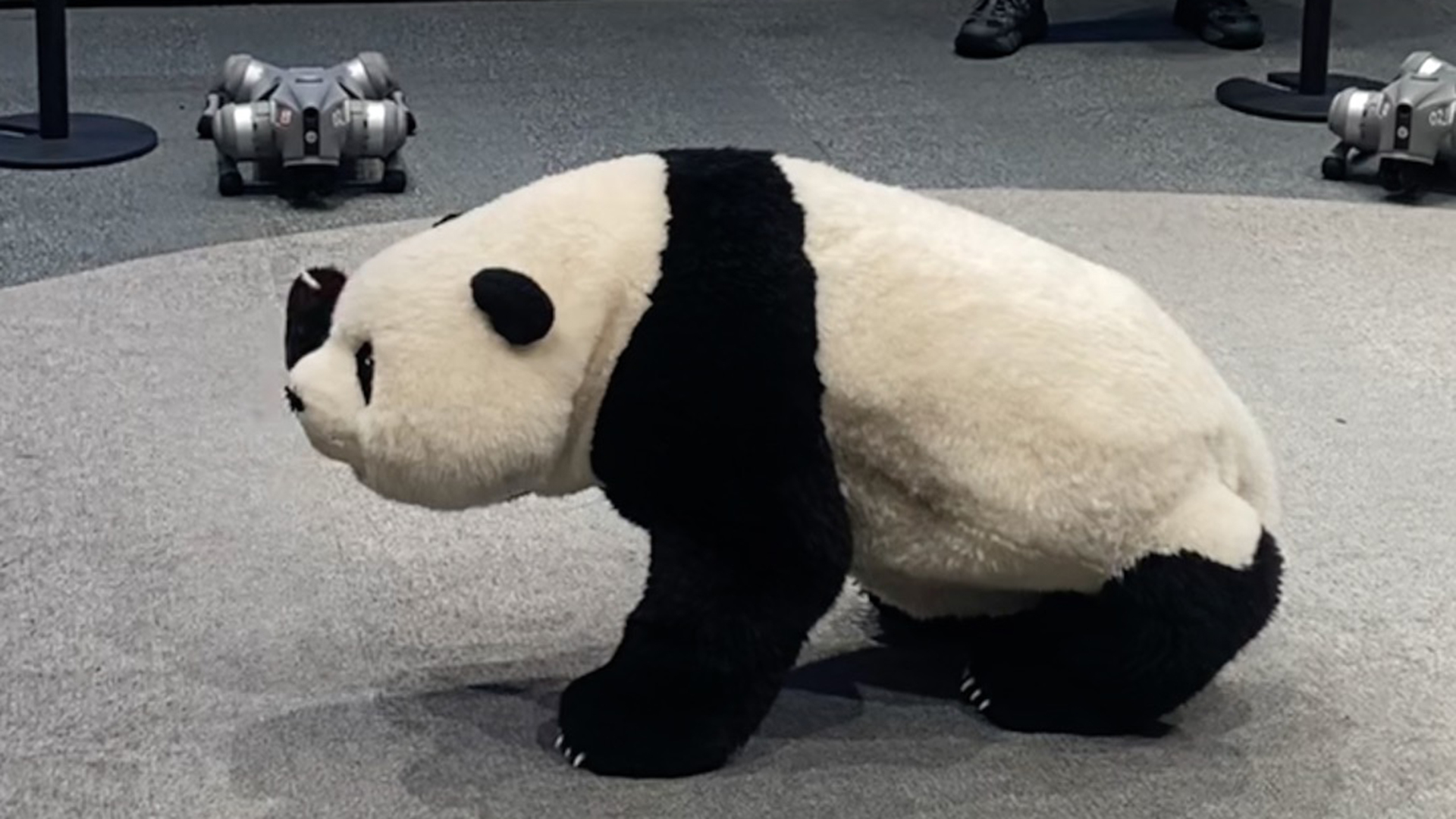 Playful robotic panda amuses shoppers at Beijing mall