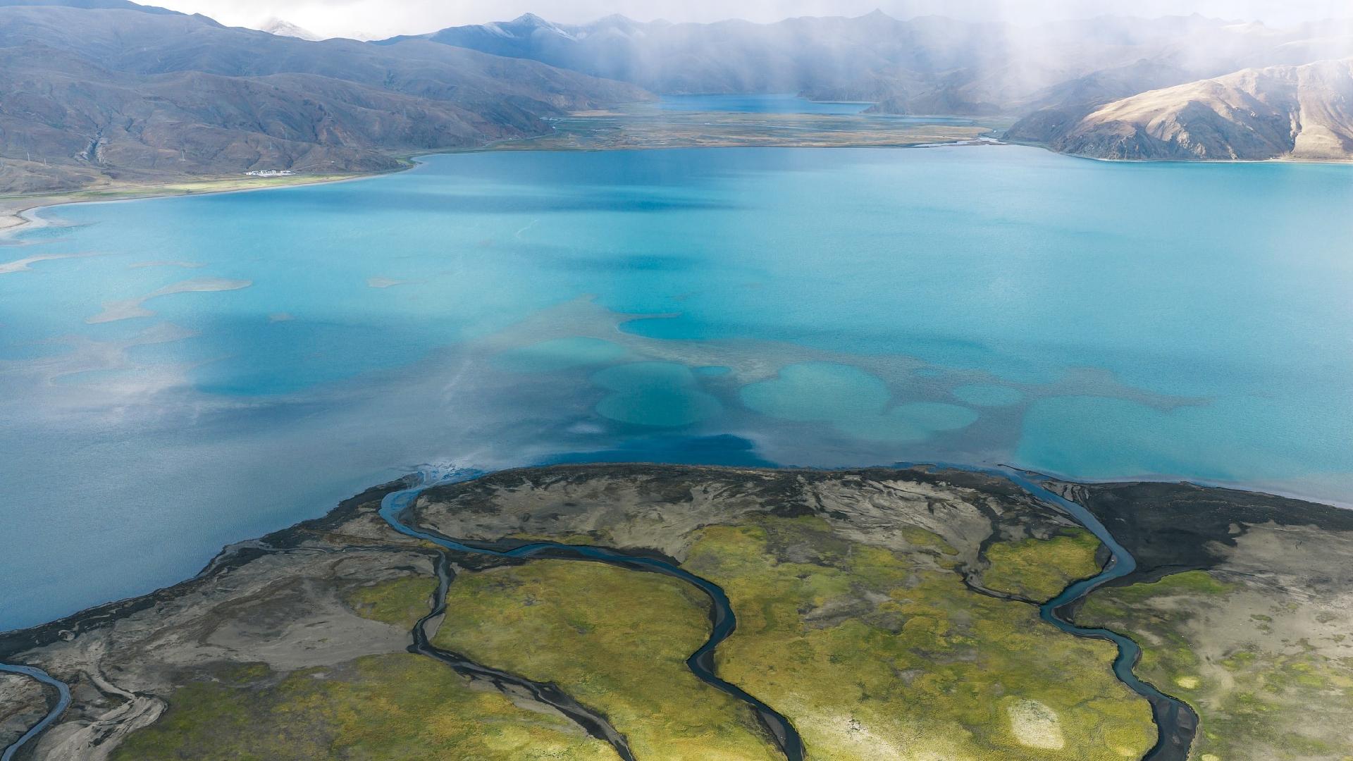 China's ecological vegetation quality hits 2nd-best level on record, new meteorological report shows