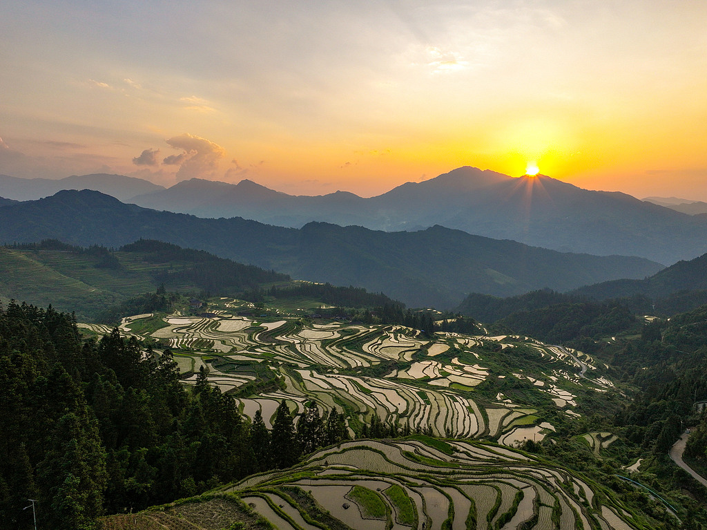 Layer upon layer of rice terraces stretch across the hillsides in a village in southwest China's Guizhou Province on May 26, 2026. /VCG