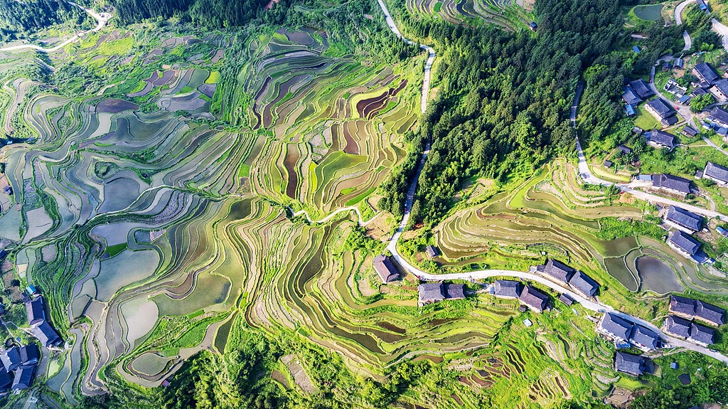 Sunlit terraces paint a rural scene in Guizhou