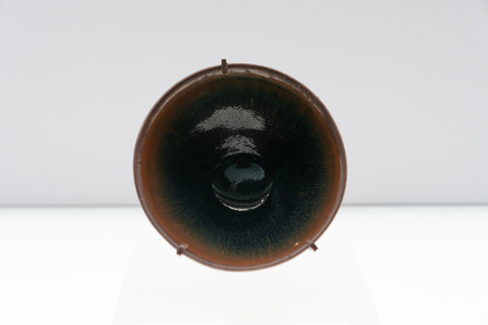 The starlight of the Song Dynasty 
