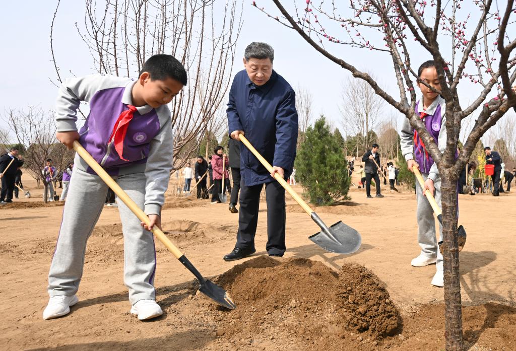 Chinese President Xi Jinping plants a tree during a voluntary tree-planting activity at Baishan Town in Changping District in Beijing, China, March 30, 2026. /Xinhua