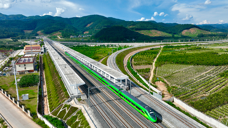File photo of a bullet train running past the Wild Elephant Valley Station on the China-Laos Railway in Laos. /VCG