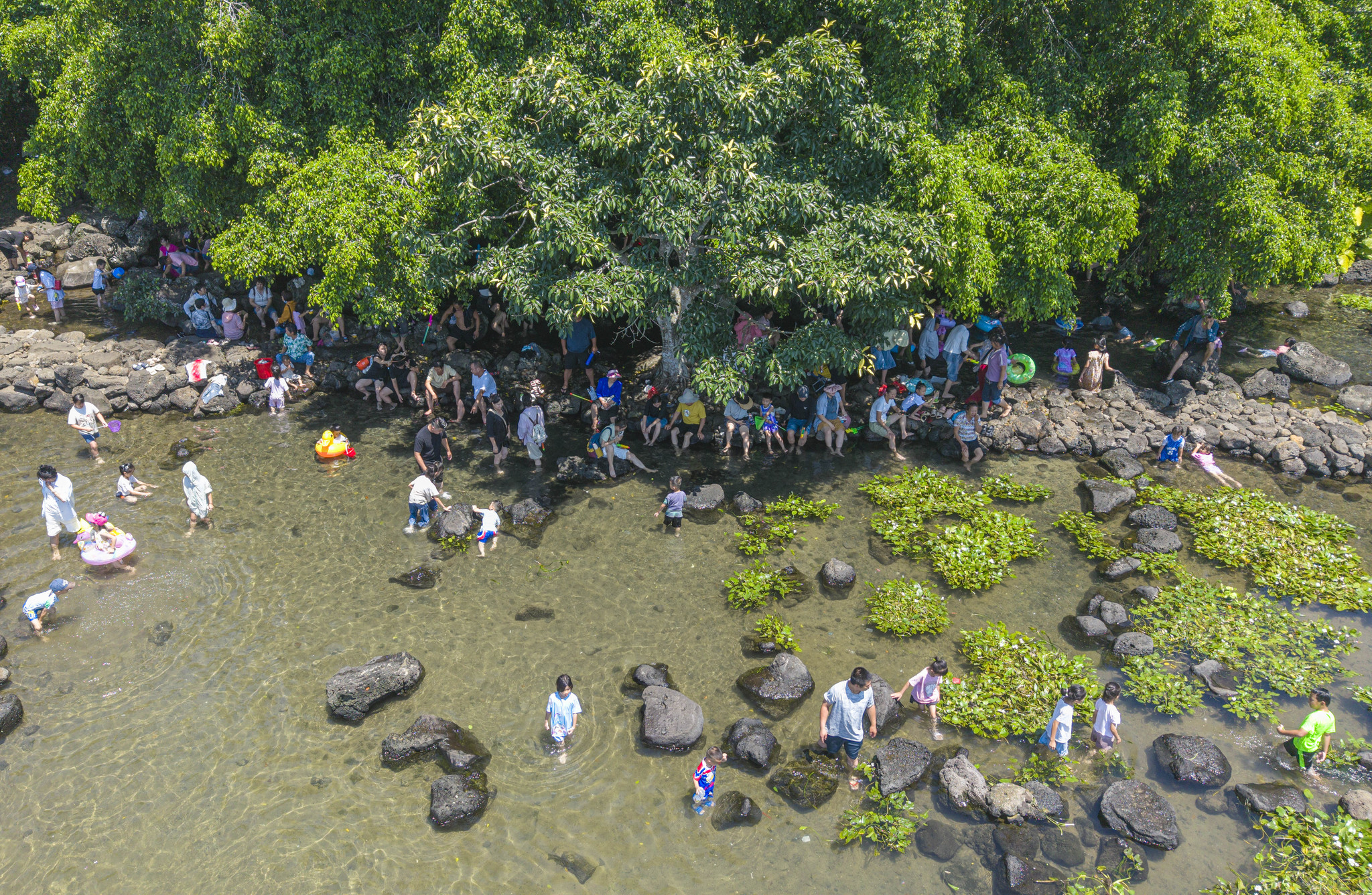 Parents and children playing in the waters to escape the heat in Ding'an County, Hainan Province, China, June 1, 2026. /VCG