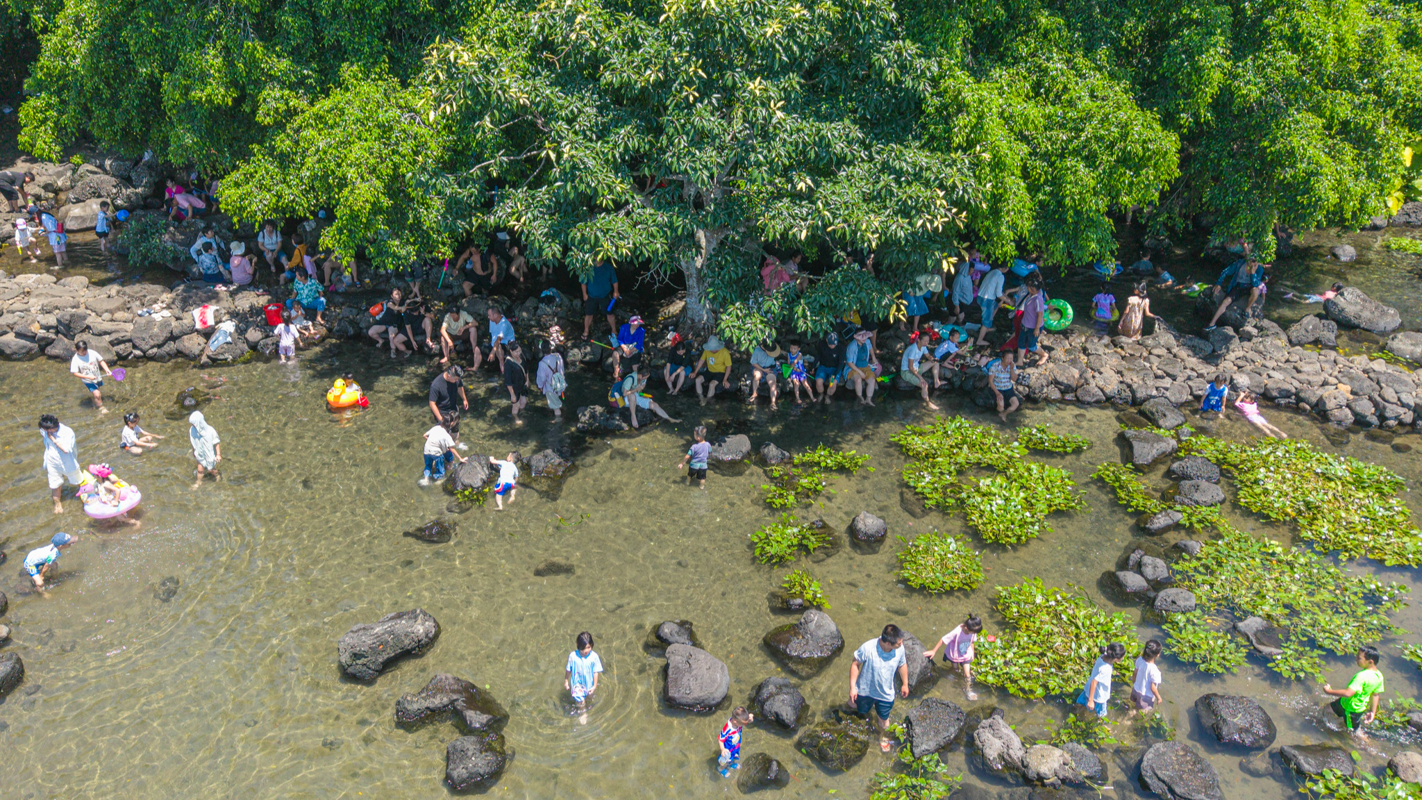 Report: China's travel trend family-centric, educational, nature-based