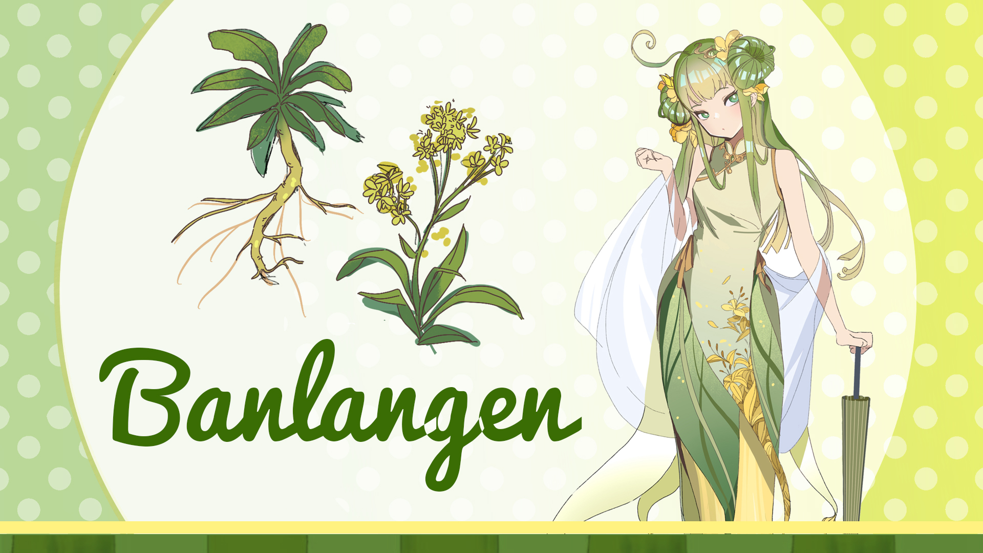 Meet herb Banlangen: The cool-headed guardian