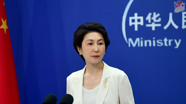 A file photo of Chinese Foreign Ministry spokesperson Mao Ning during a press briefing in Beijing, China. /Chinese Foreign Ministry
