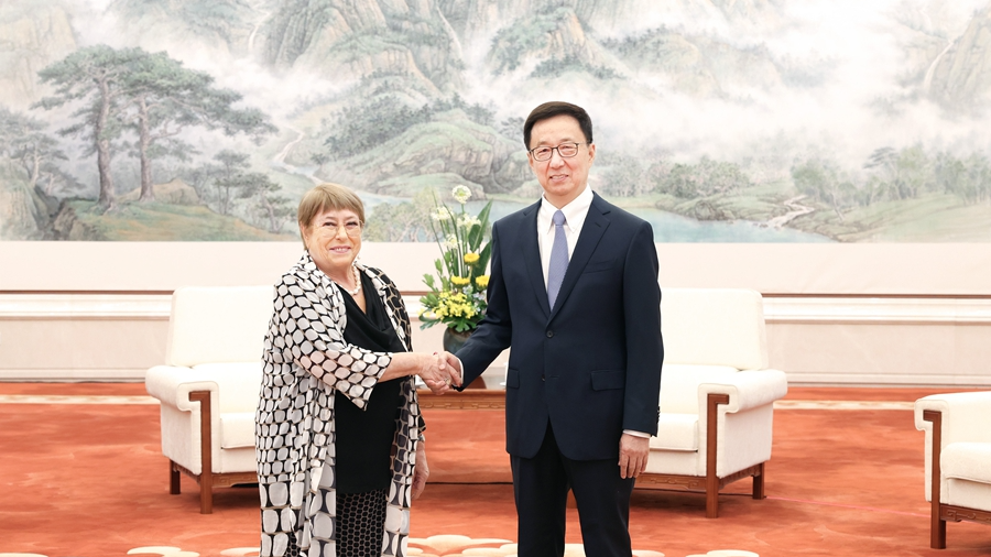 Chinese VP meets a candidate for next UN secretary-general