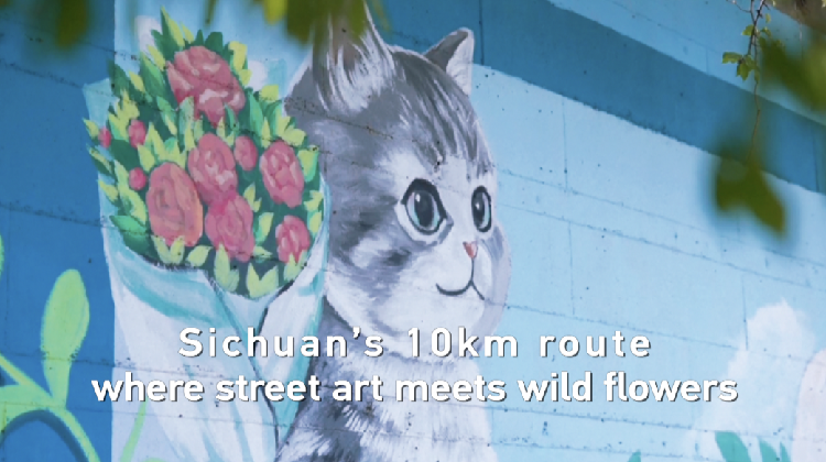 Sichuan's 10km route where street art meets wild flowers