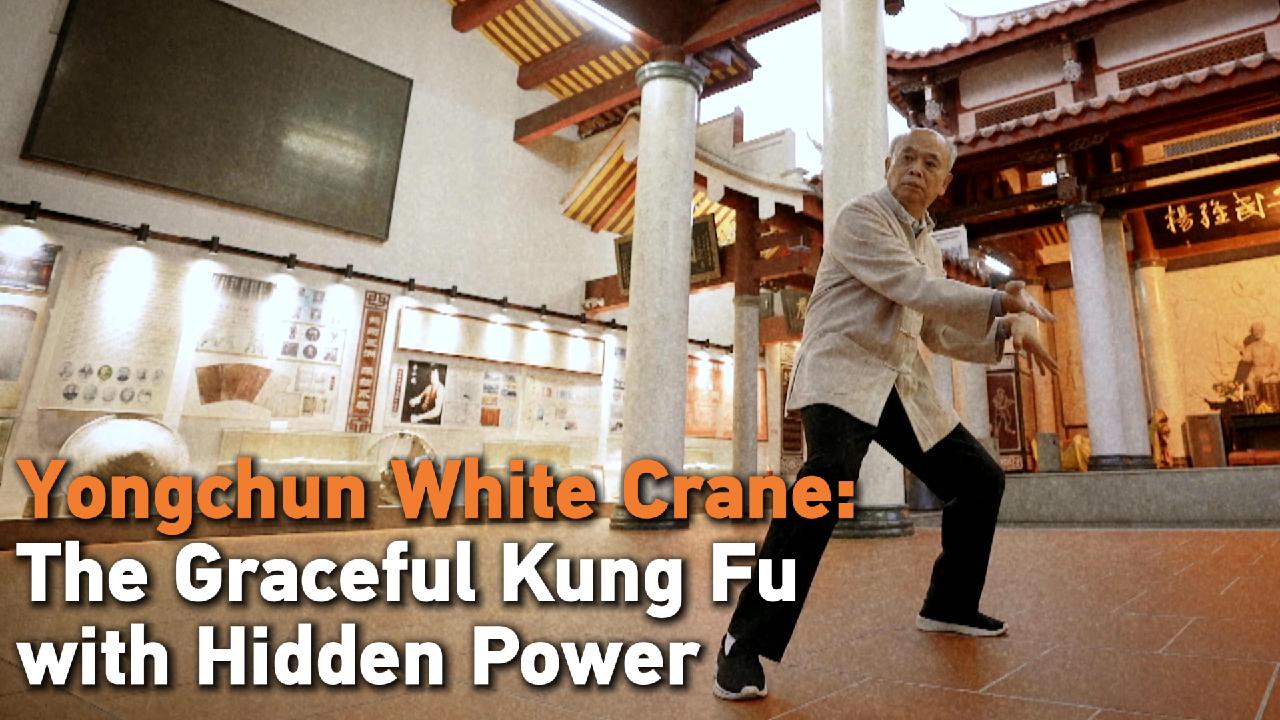 Yongchun White Crane: The graceful kung fu style with hidden power