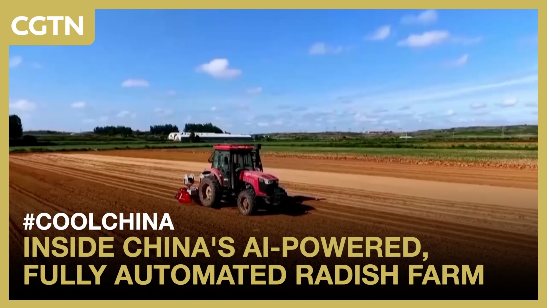 Inside China's AI-powered, fully automated radish farm