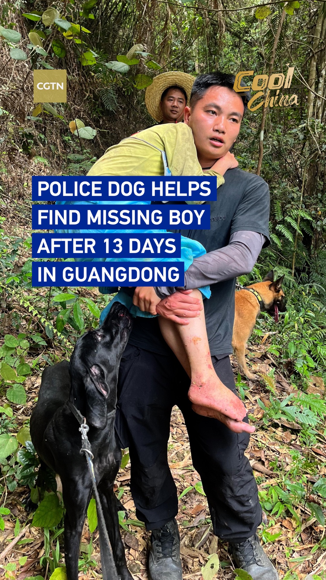 Police dog helps find missing boy after 13 days in Guangdong