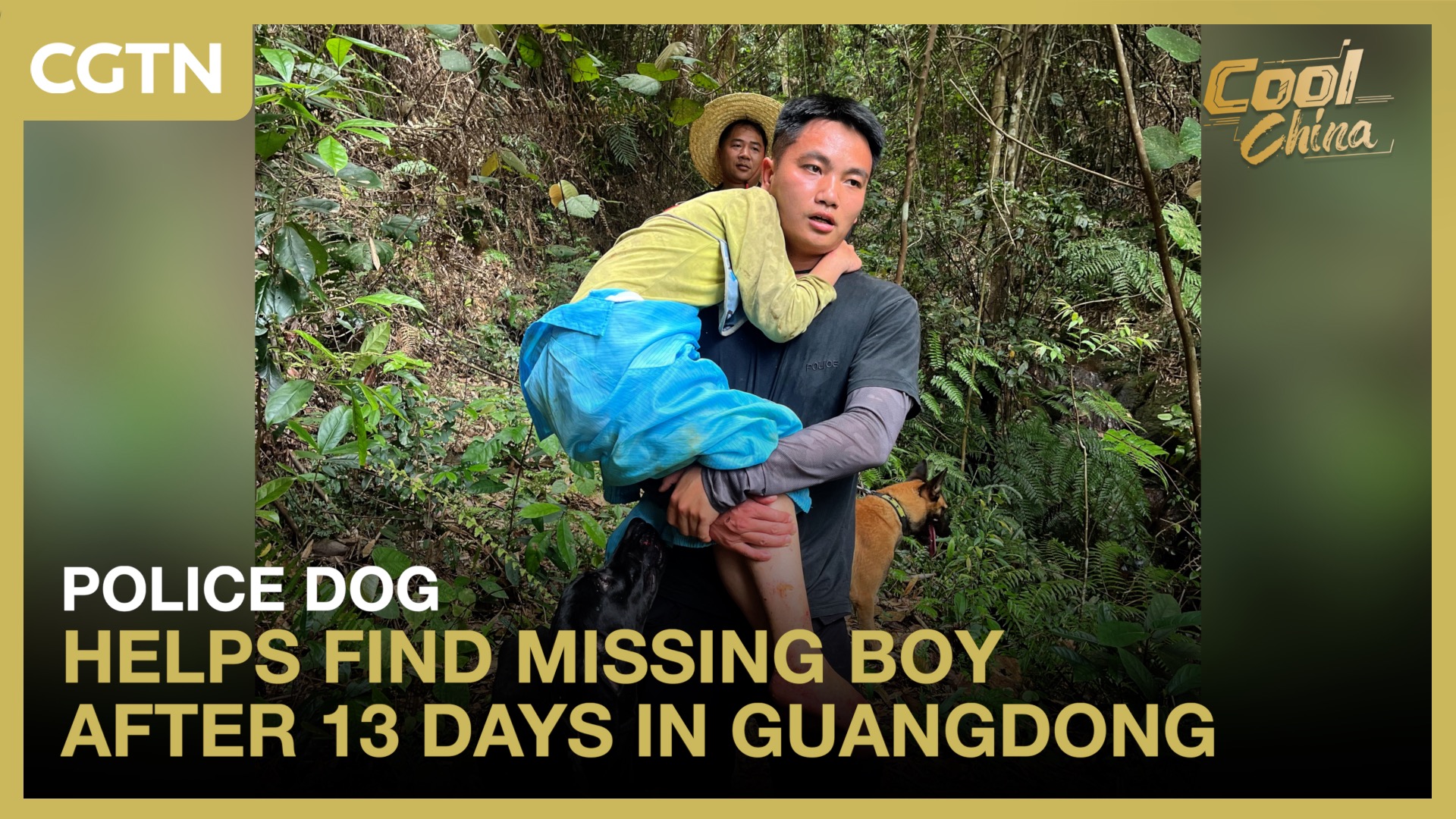 Police dog helps find missing boy after 13 days in Guangdong