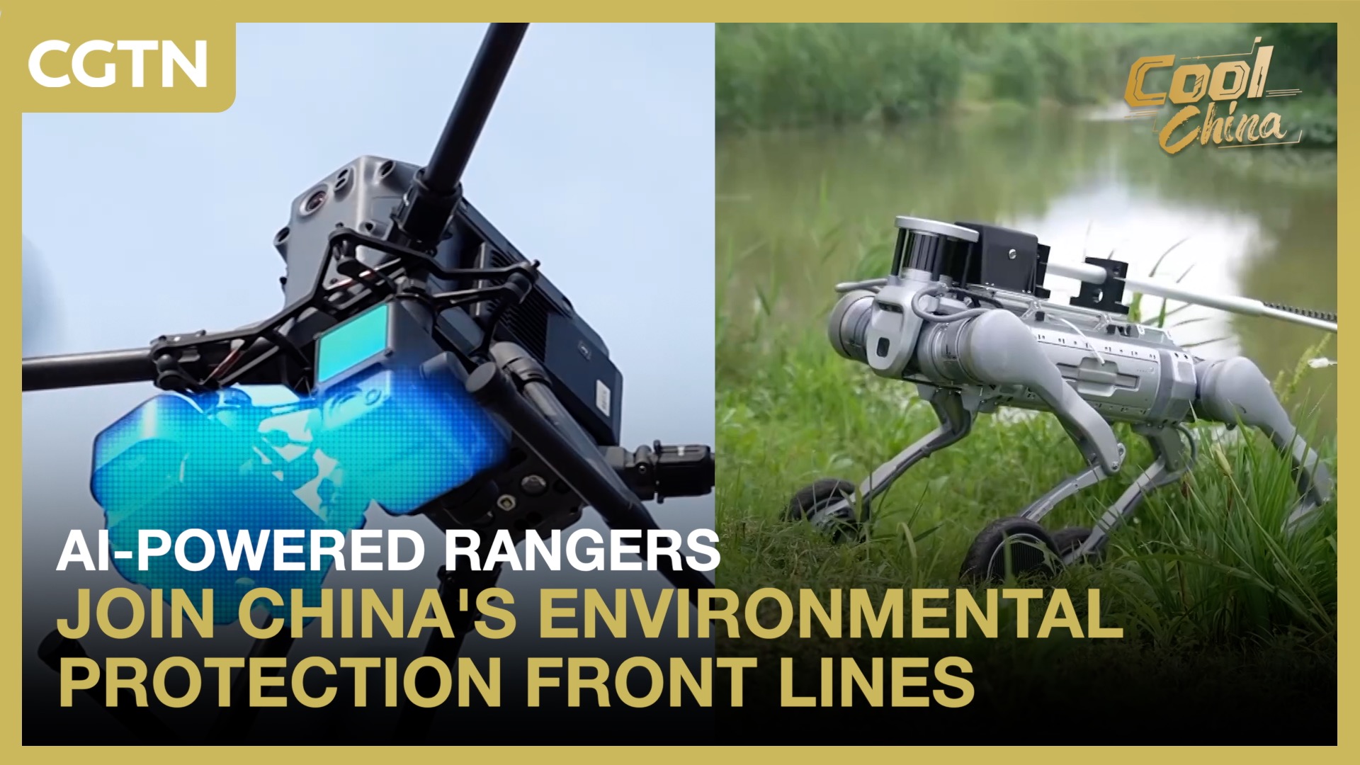 AI-powered rangers join China's environmental protection front lines