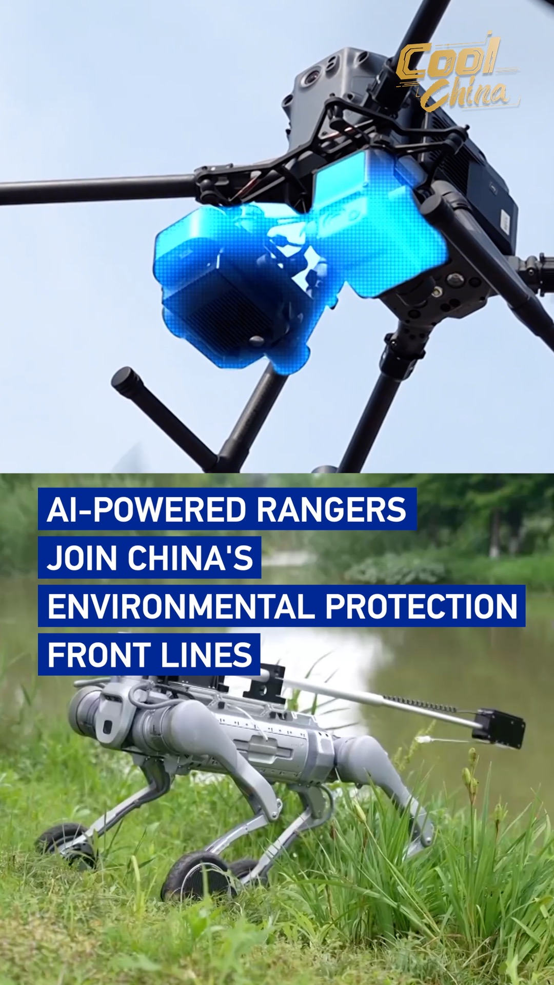 AI-powered rangers join China's environmental protection front lines