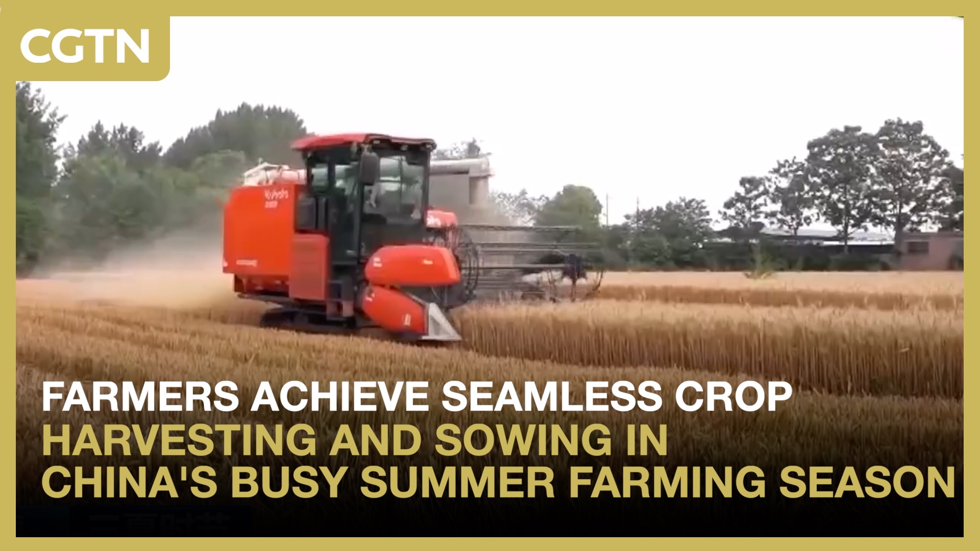 Farmers achieve seamless crop harvesting and sowing in China's busy summer farming season