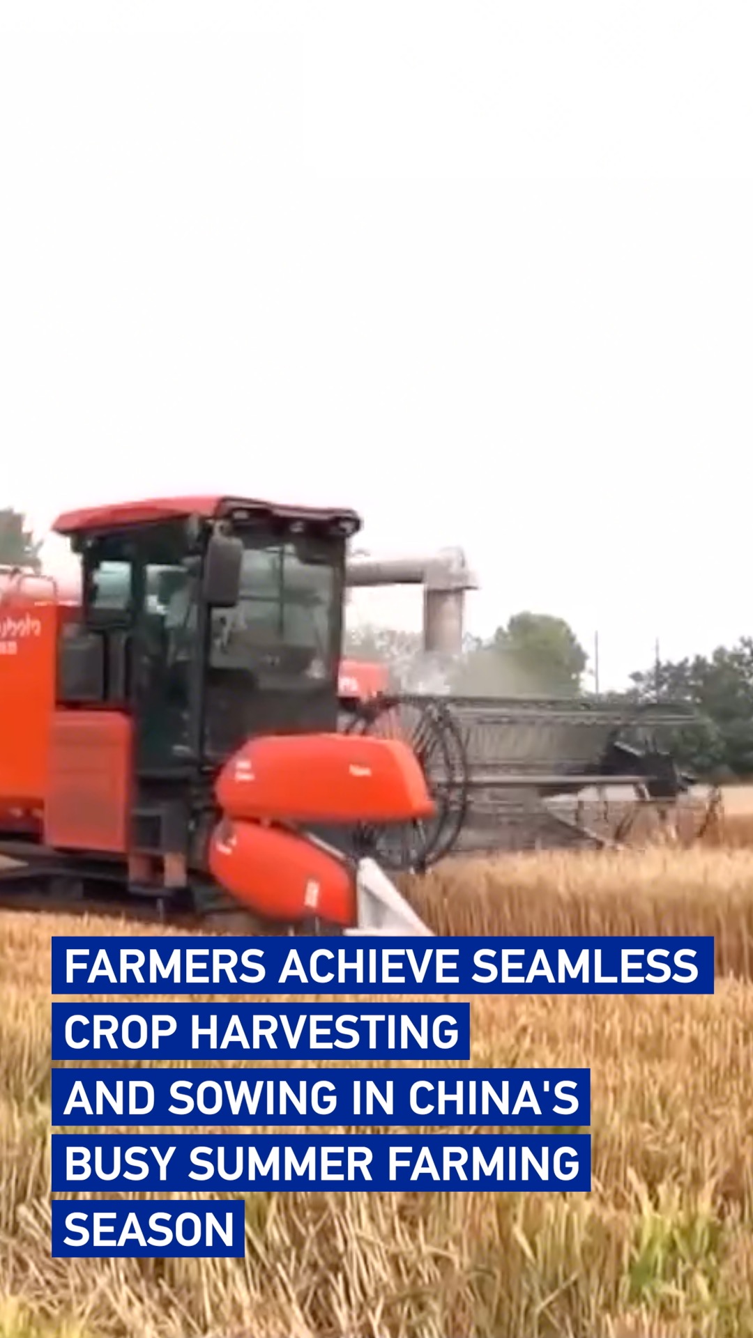 Farmers achieve seamless crop harvesting and sowing in China's busy summer farming season