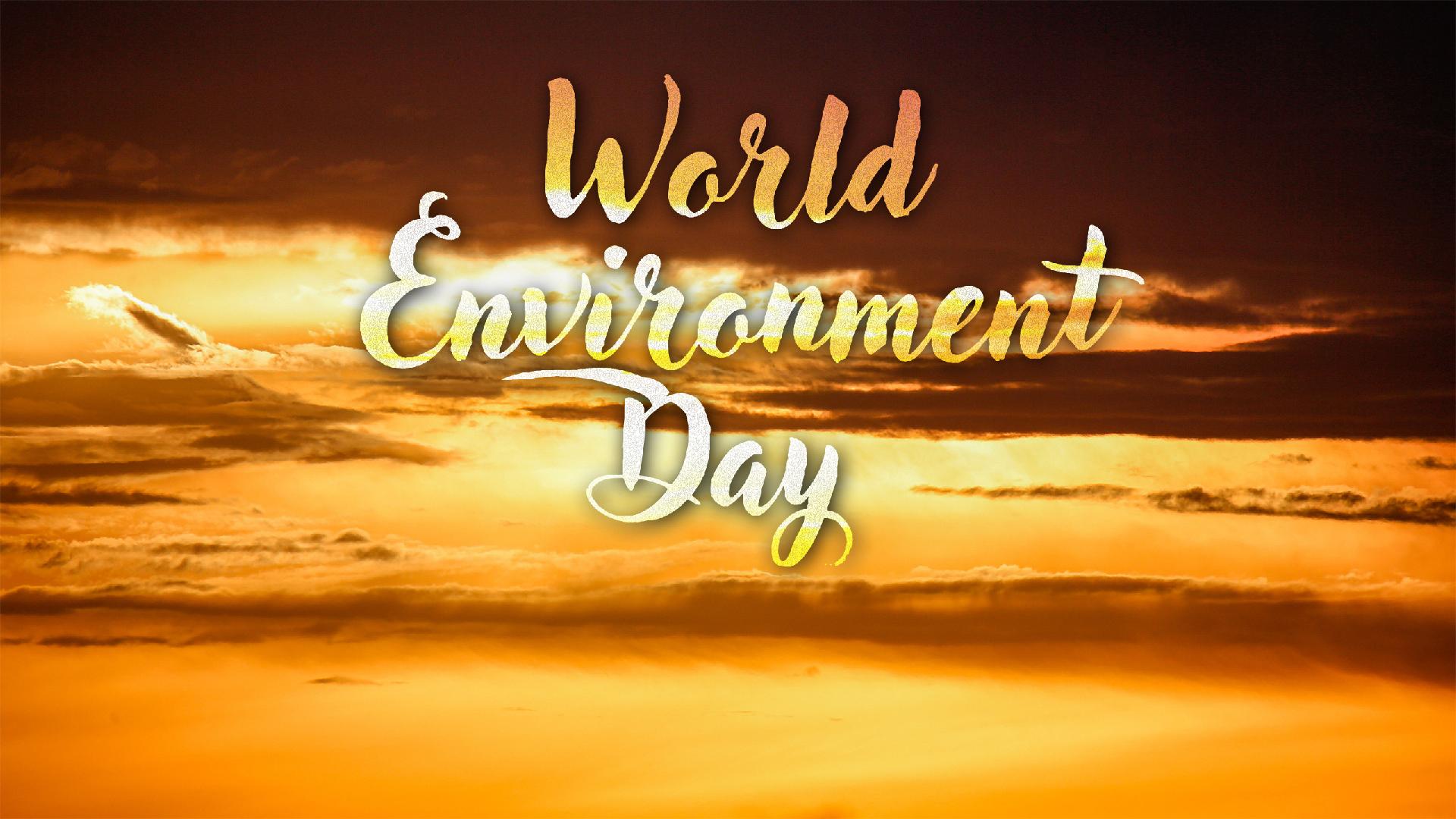 World Environment Day Green China Practices In Climate Action CGTN