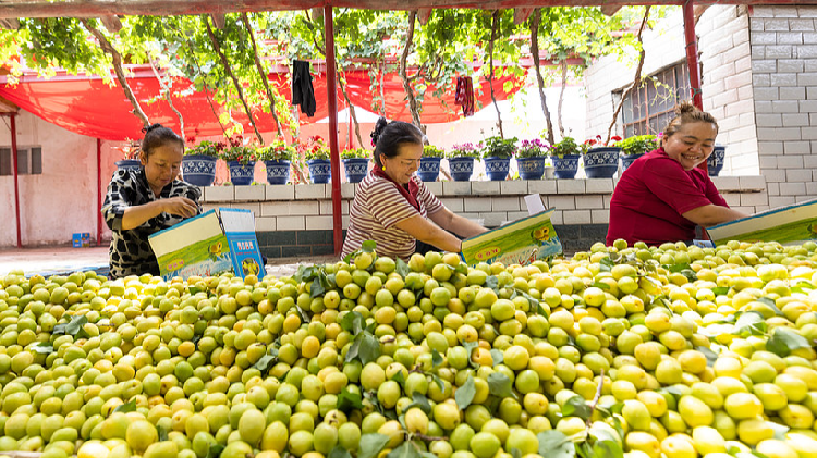 China's human rights path: Progress through development