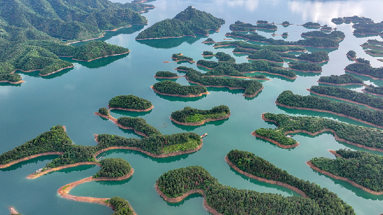 China sees further improvement in ecological environment in 2025