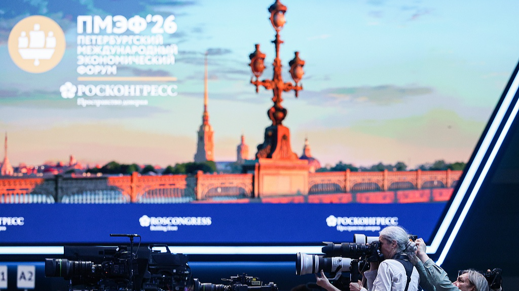 Chinese VP meets Russian President Putin in St. Petersburg