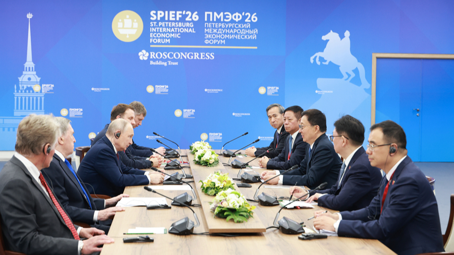 Chinese VP meets Russian President Putin in St. Petersburg