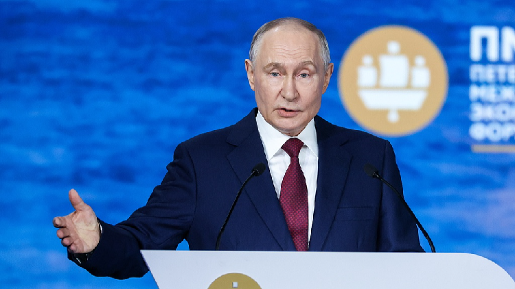 Putin sets conditions for Zelenskyy meeting as Kiev pushes for summit