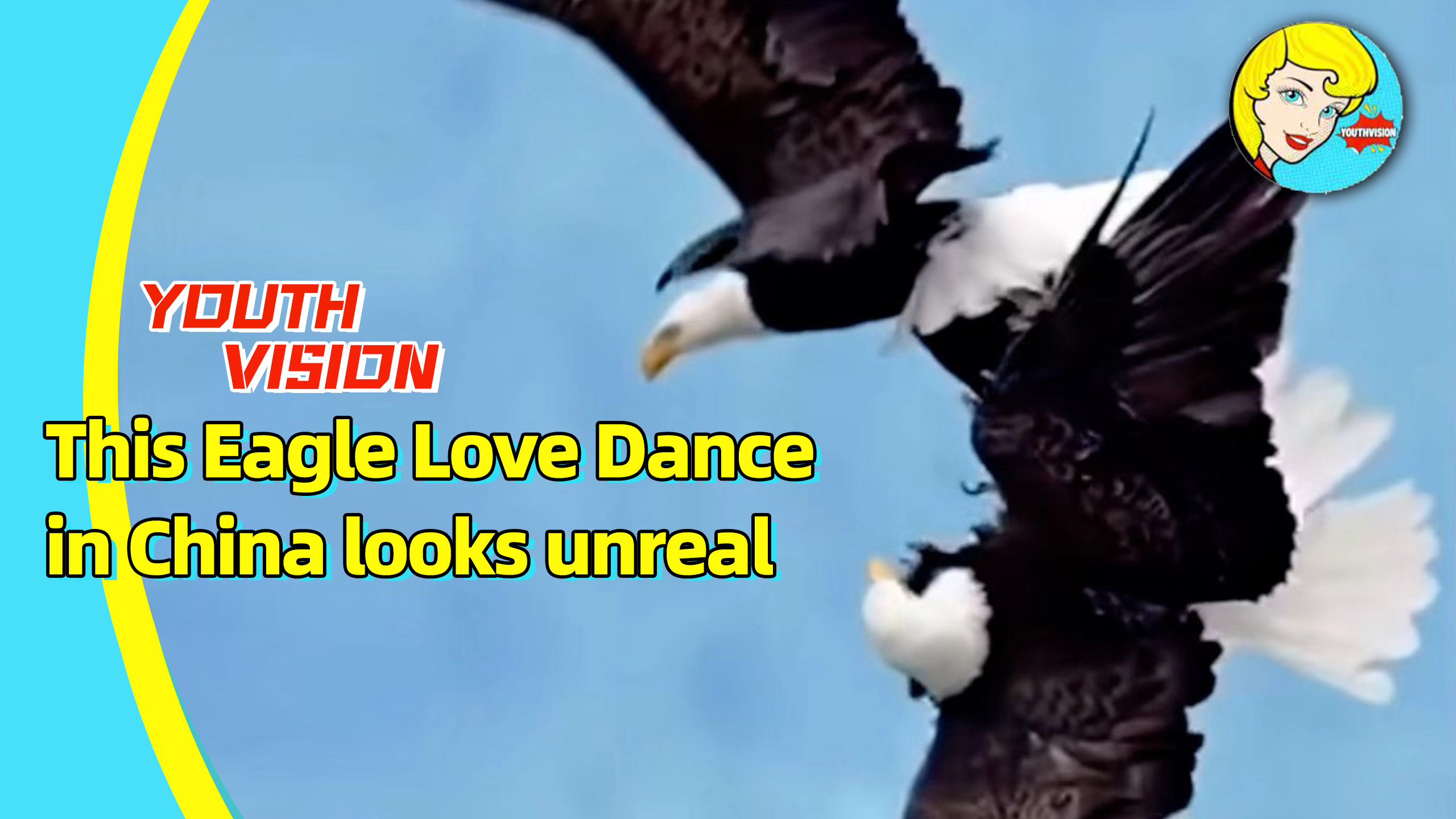 This eagle love dance in China looks unreal