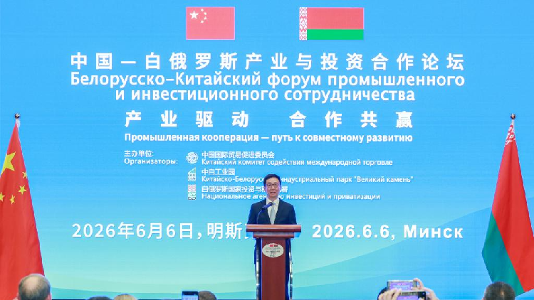 Chinese VP urges deeper China-Belarus trade, investment cooperation