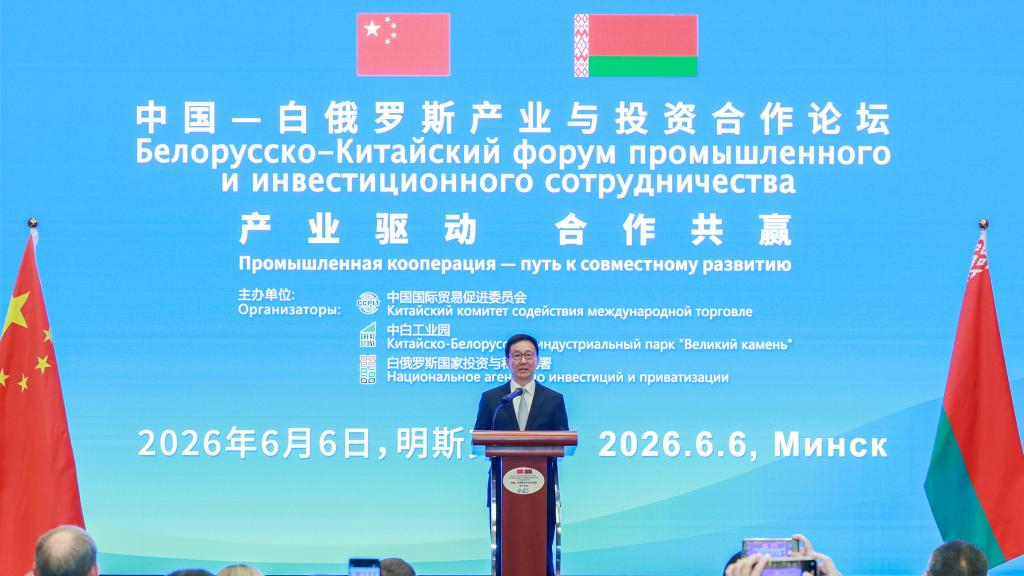 Chinese VP urges deeper China-Belarus trade, investment cooperation