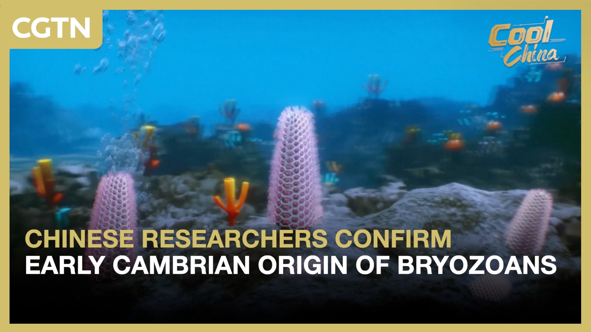 Chinese researchers confirm Early Cambrian origin of bryozoans