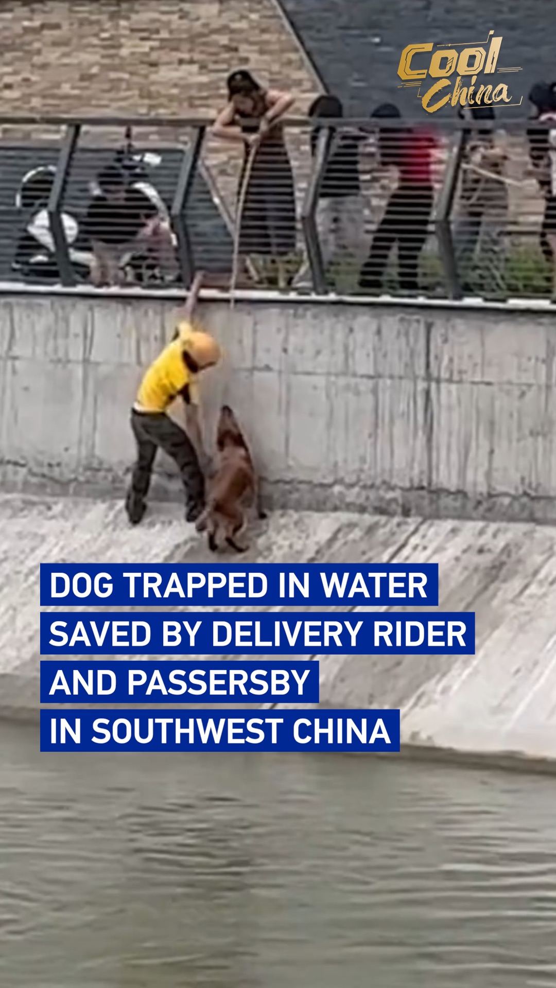 Dog trapped in water saved in southwest China