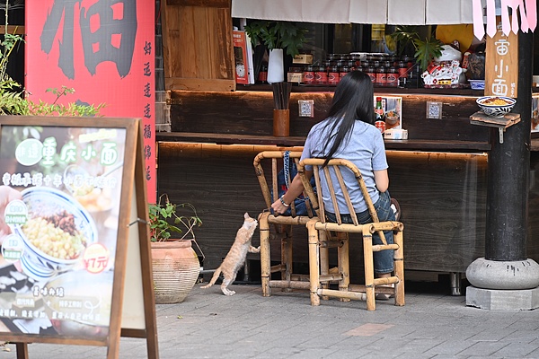A tourist waits for her order at a small noodle shop in Ciqikou Ancient Town, Chongqing, October 16, 2025. /VCG