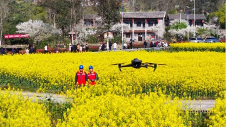 Drones give Chongqing's mountain farming a lift
