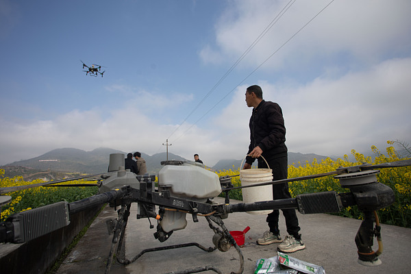 A local farmer operates a crop-protection drone for field management work, Chongqing, China, March 10, 2026. /VCG