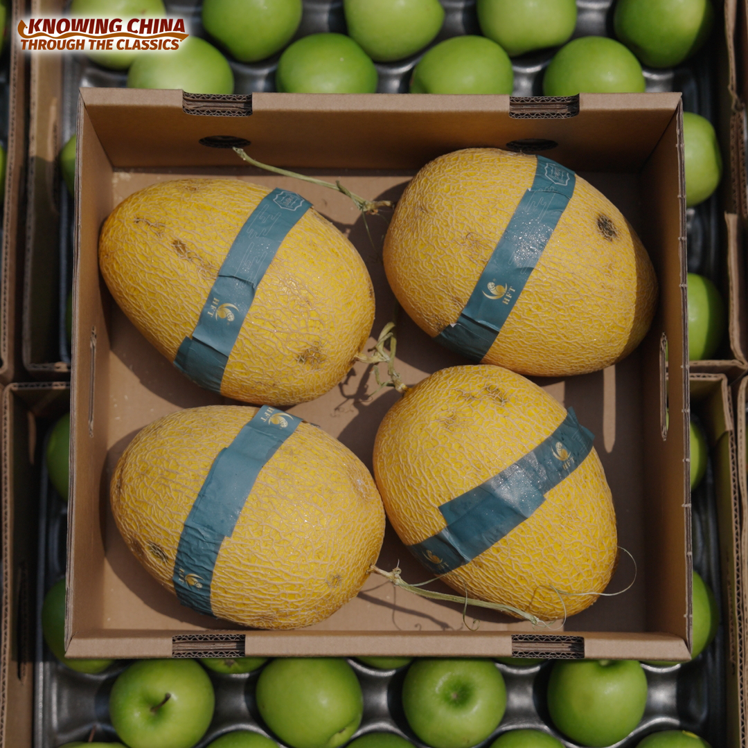 The Cross-border Railway Boosting Laos's Fruit Trade 
