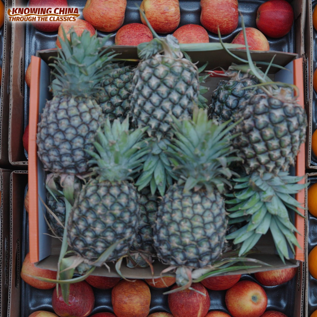 The Cross-border Railway Boosting Laos's Fruit Trade 