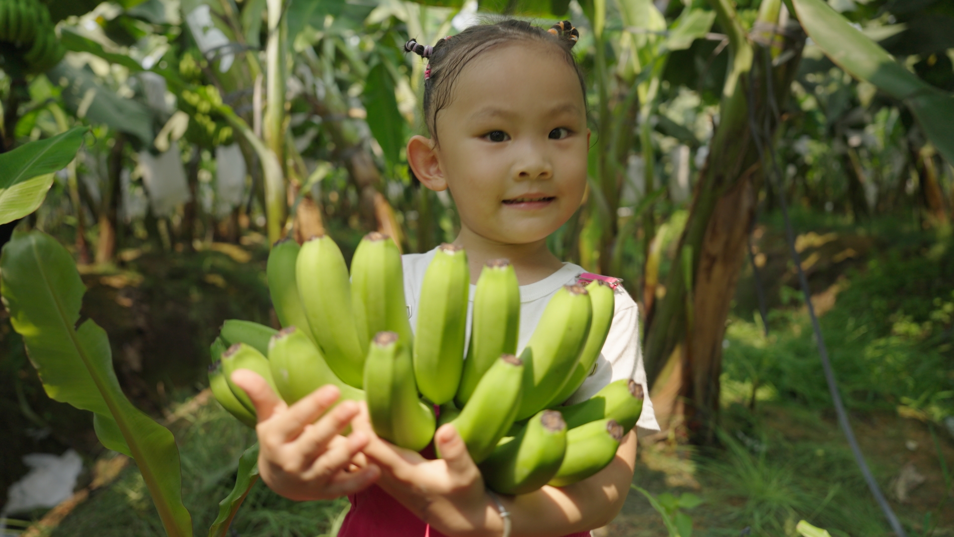The Cross-border Railway Boosting Laos's Fruit Trade 