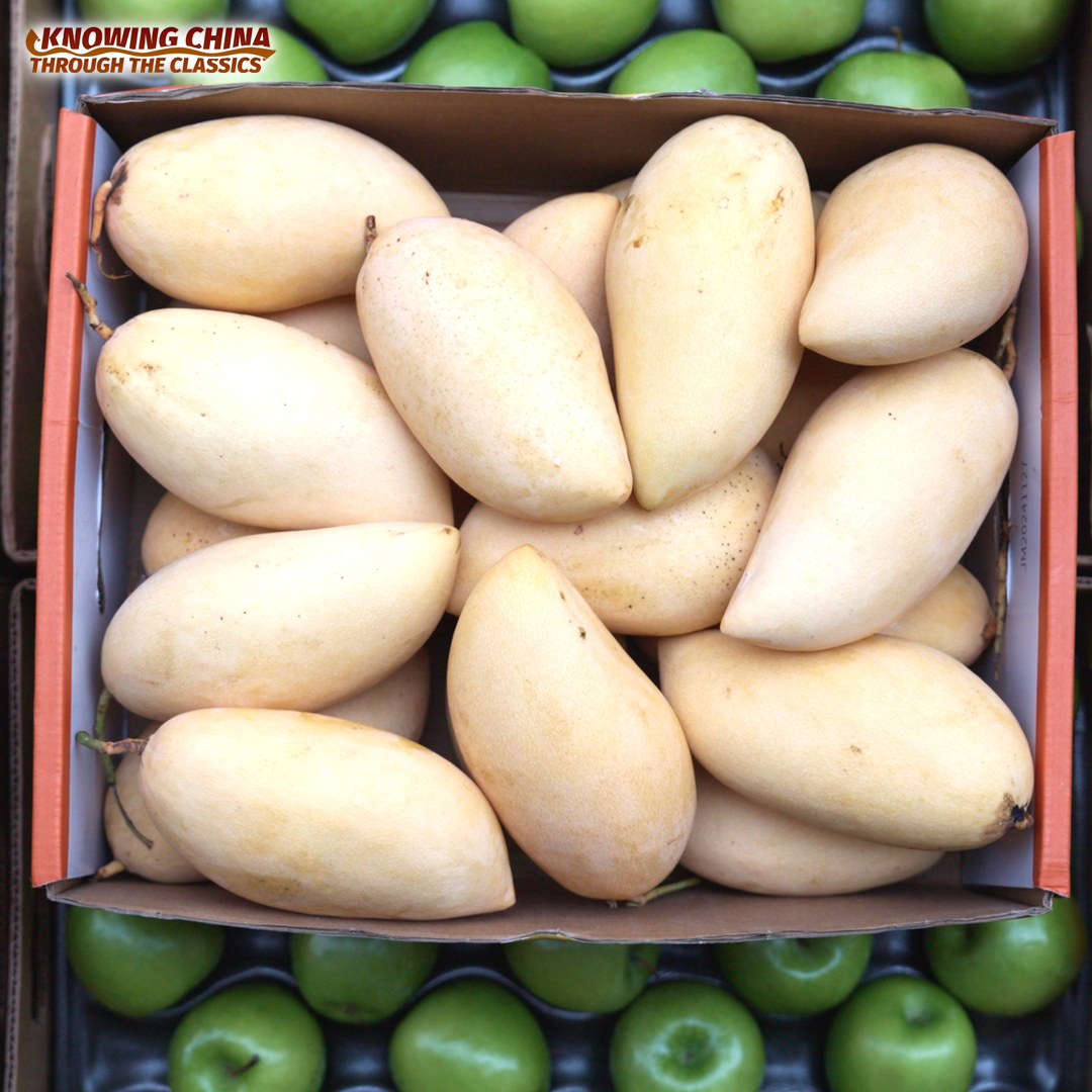 The Cross-border Railway Boosting Laos's Fruit Trade 
