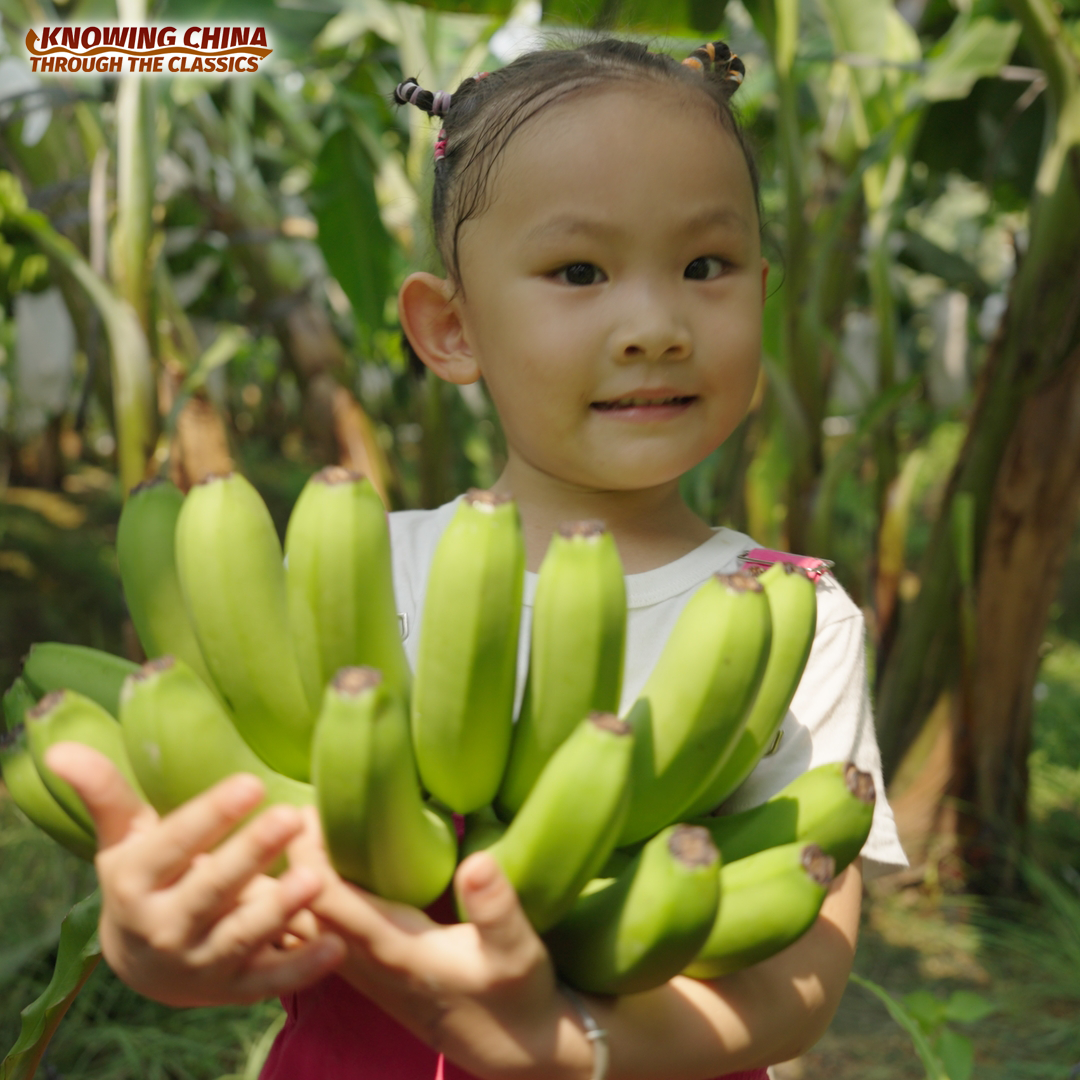 The Cross-border Railway Boosting Laos's Fruit Trade 