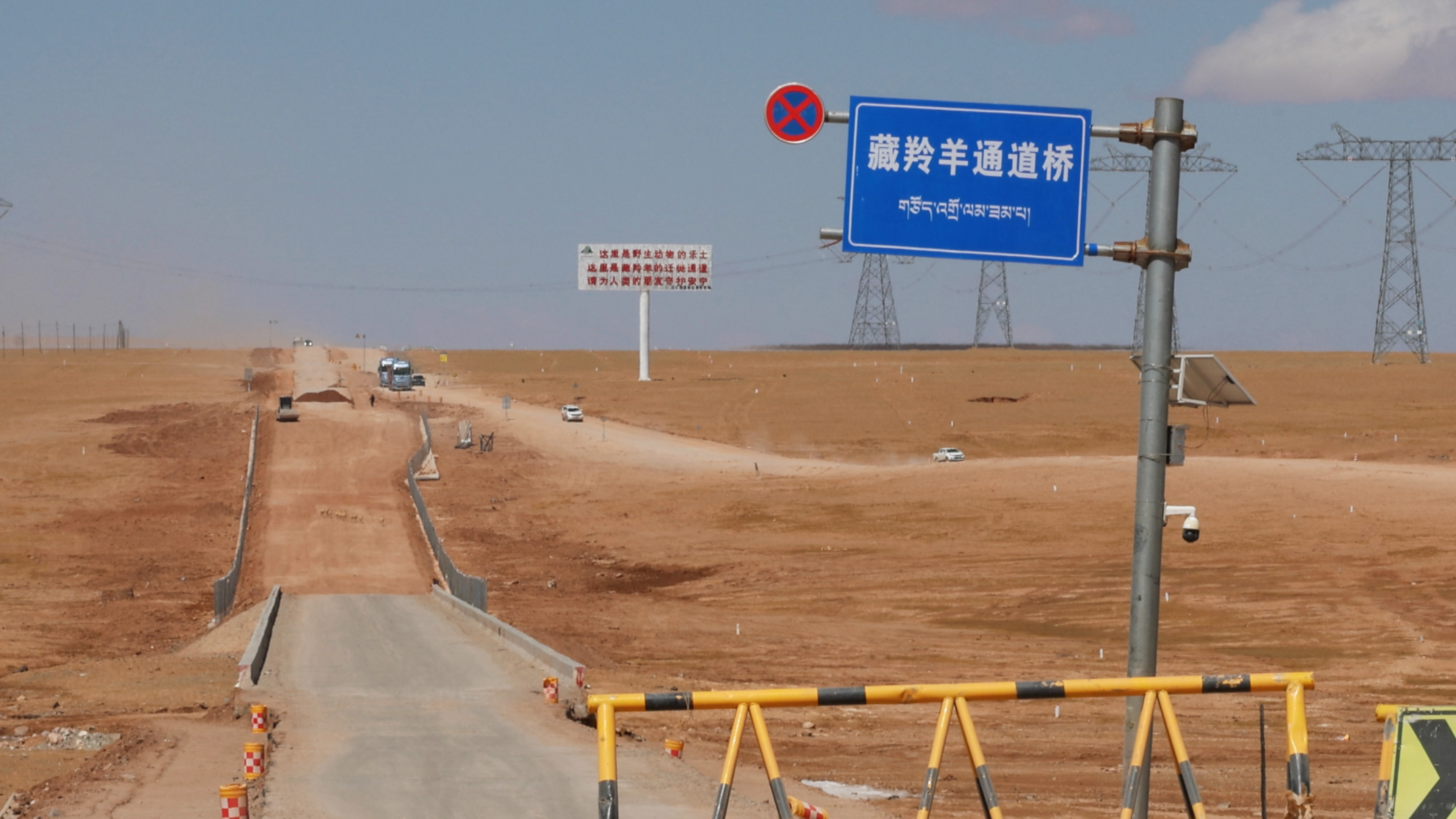 An eco-bridge enables Tibetan antelopes to safely cross the Qinghai-Xizang Highway, Qinghai Province, China, May 21, 2026. Lin Ziqi/CGTN