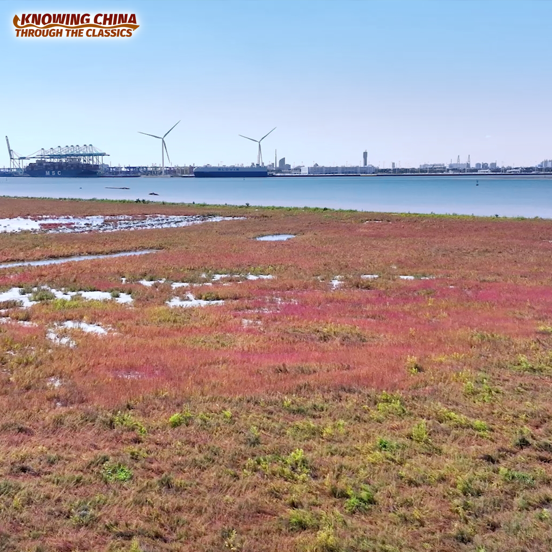The World's First Smart Zero-Carbon Terminal Goes Even Greener  